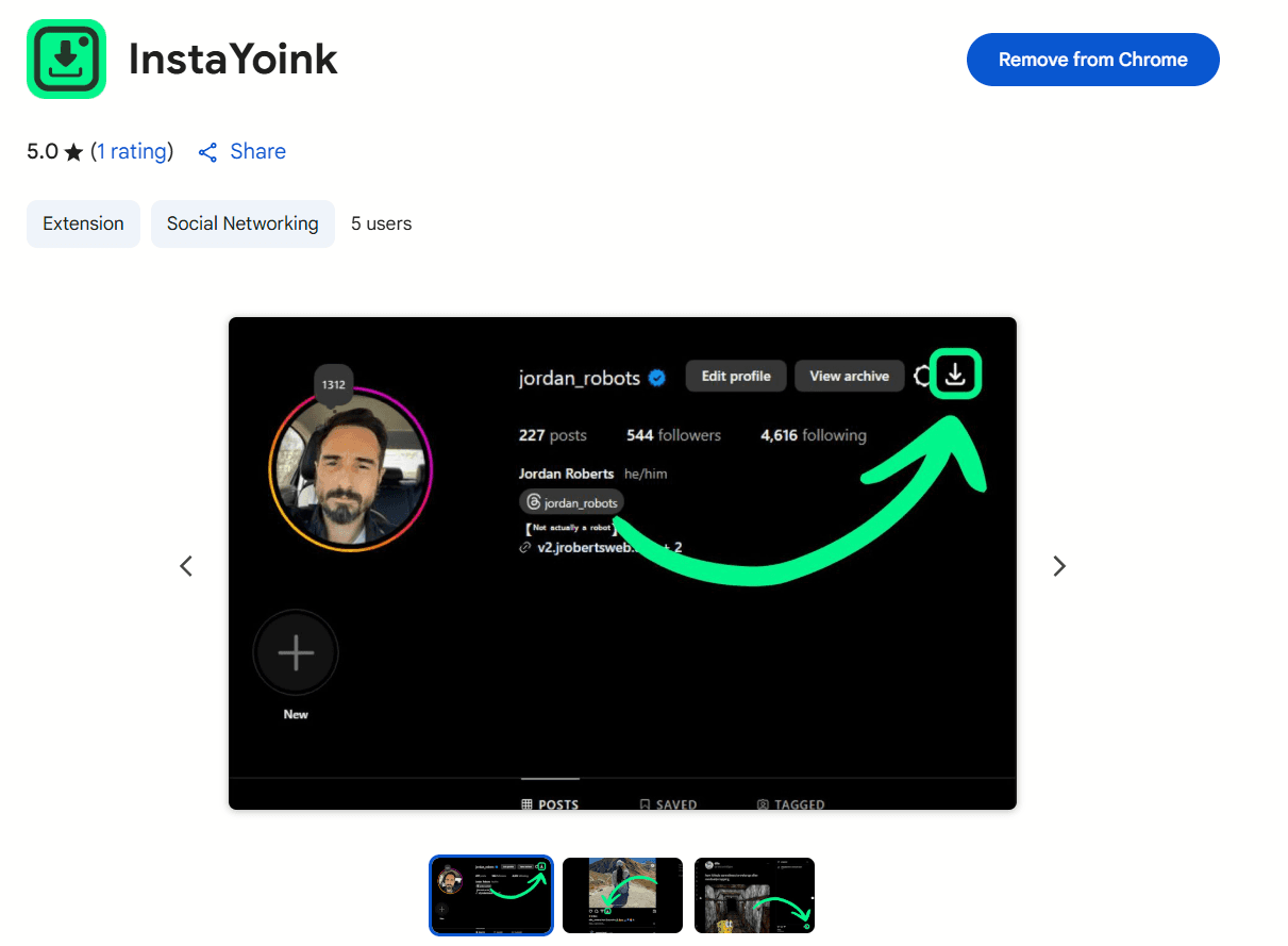 Screenshot of InstaYoink